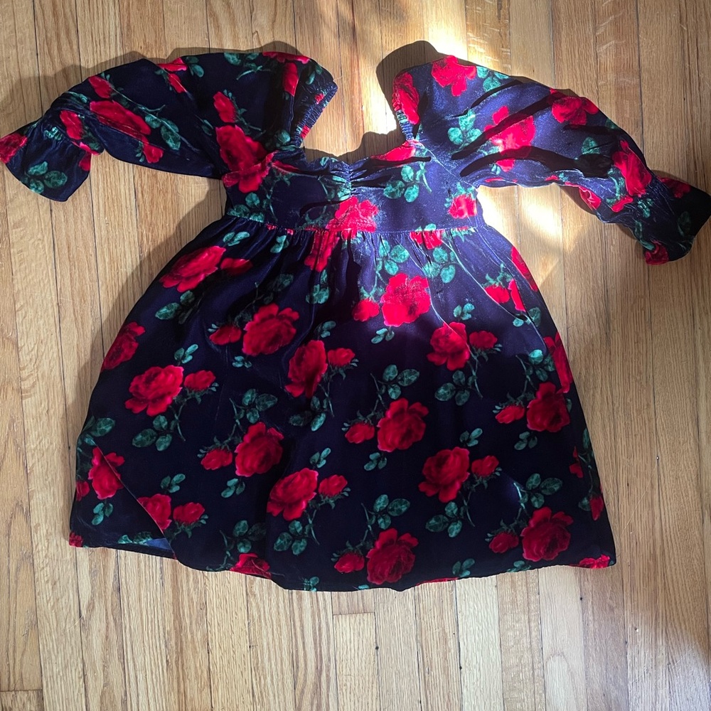 Janie & Jack Girl’s Velvet Roses Dress!